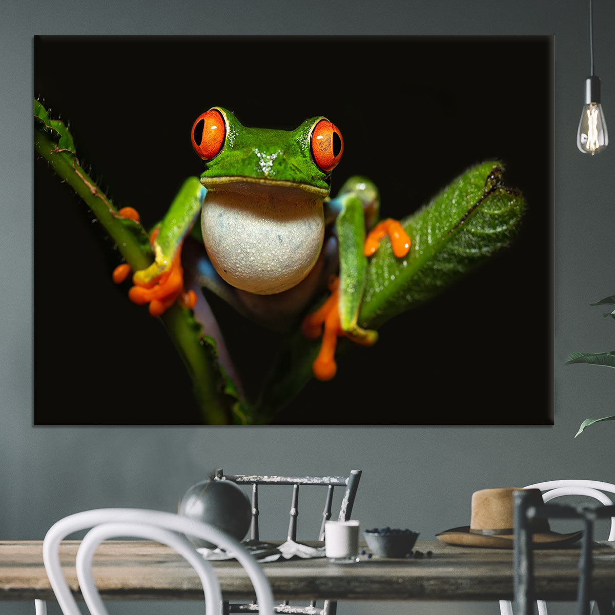 Red-eyed tree frog Canvas Print or Poster - Canvas Art Rocks - 3