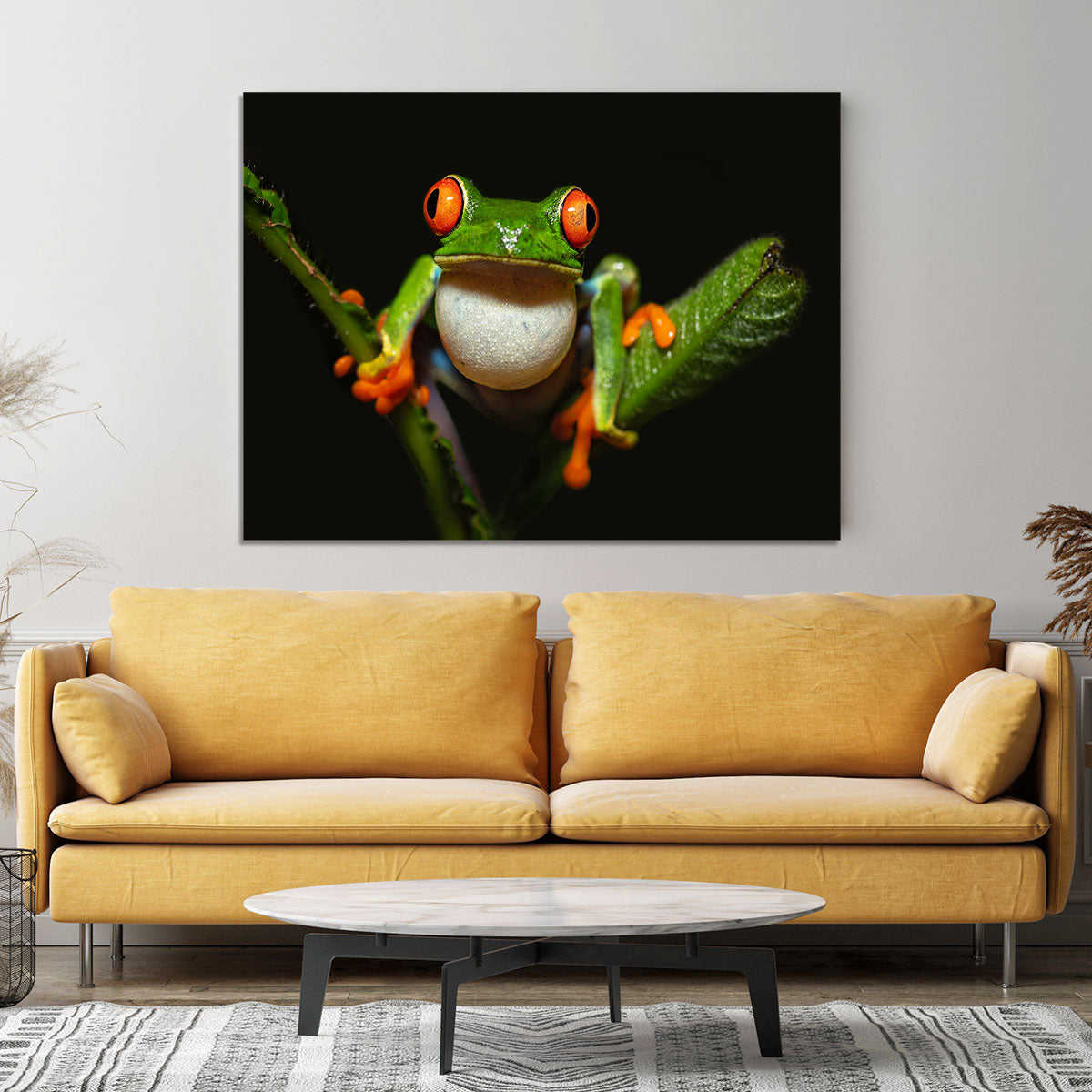 Red-eyed tree frog Canvas Print or Poster - Canvas Art Rocks - 4