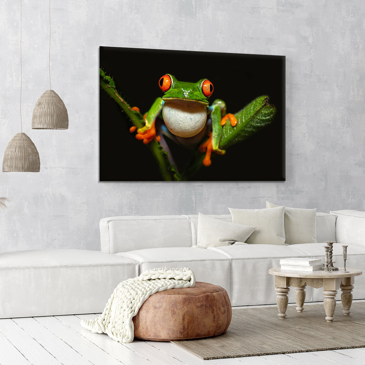 Red-eyed tree frog Canvas Print or Poster - Canvas Art Rocks - 6