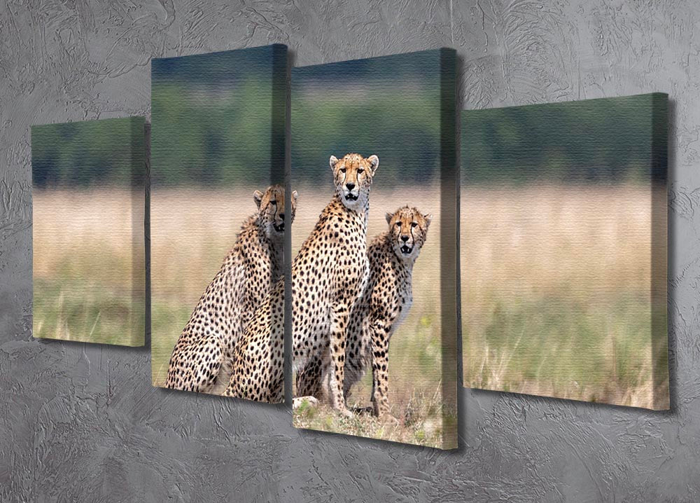 Three Cheetahs 4 Split Panel Canvas - Canvas Art Rocks - 2