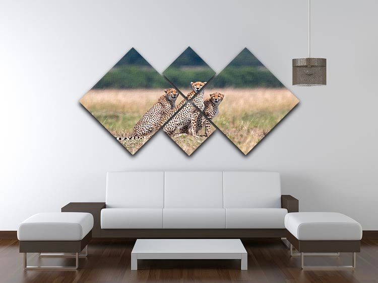 Three Cheetahs 4 Square Multi Panel Canvas - Canvas Art Rocks - 3