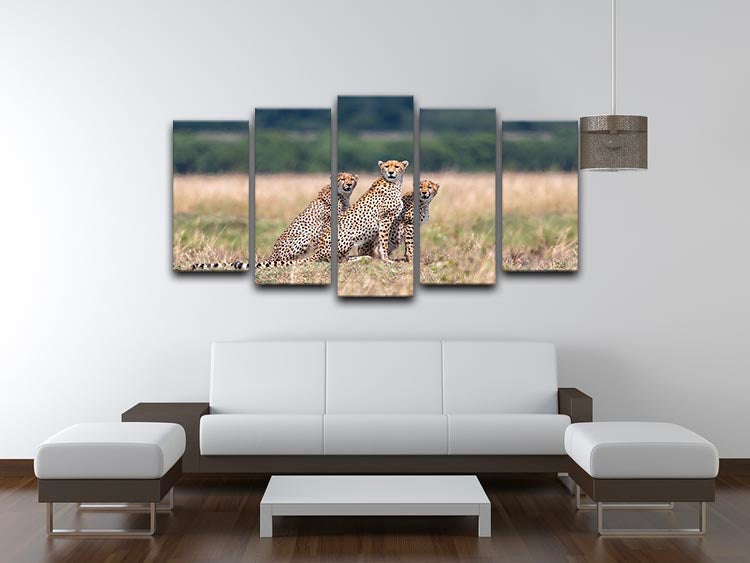 Three Cheetahs 5 Split Panel Canvas - Canvas Art Rocks - 3