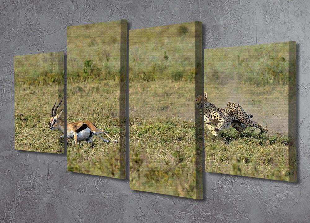 Cheetah Hunting 4 Split Panel Canvas - Canvas Art Rocks - 2