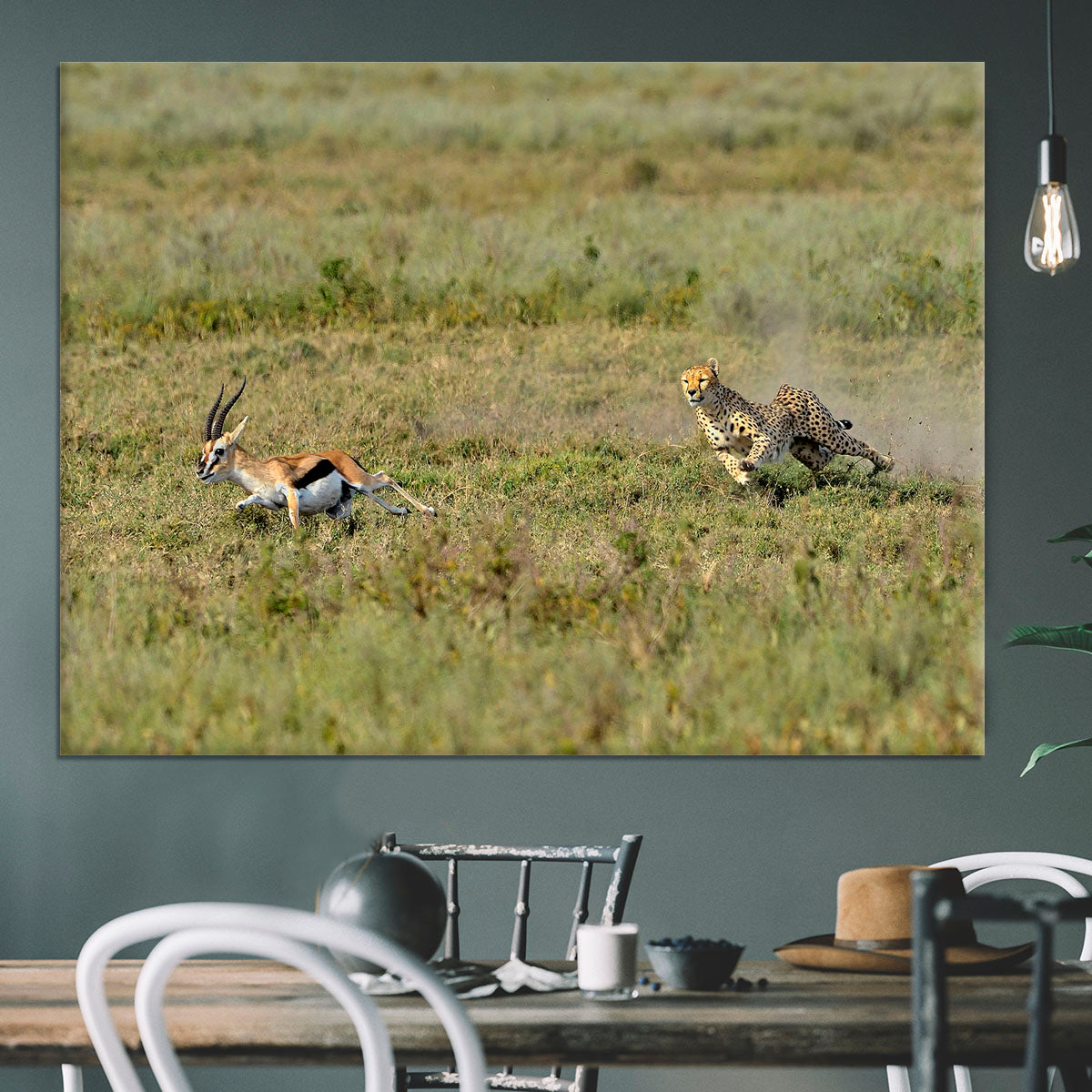 Cheetah Hunting Canvas Print or Poster - Canvas Art Rocks - 3