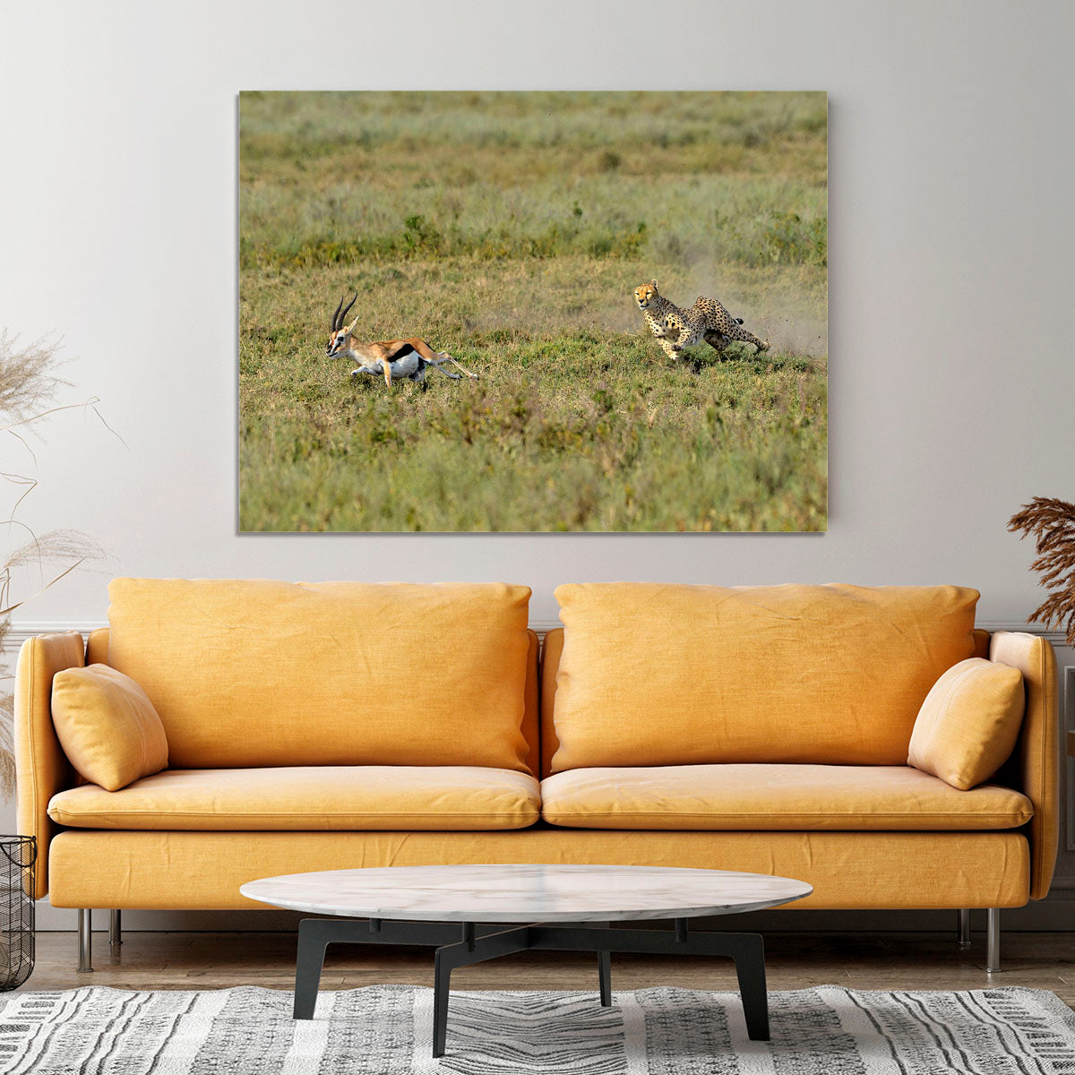 Cheetah Hunting Canvas Print or Poster - Canvas Art Rocks - 4