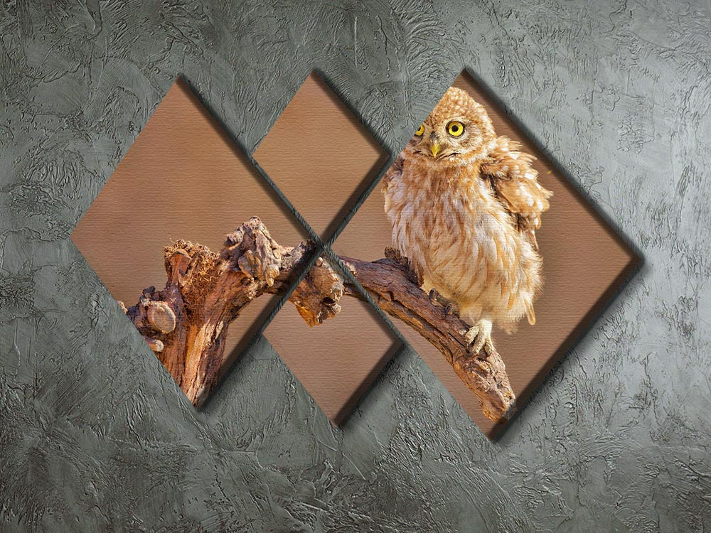 Little Owl On A Branch 4 Square Multi Panel Canvas - Canvas Art Rocks - 2