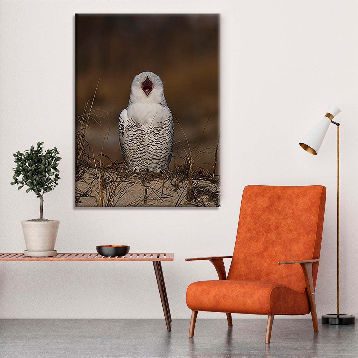 A Snowy Owl Chirping Canvas Print or Poster - Canvas Art Rocks - 6