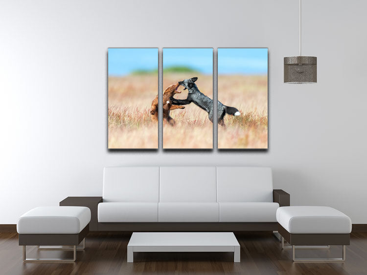 Two Foxes Wrestling 3 Split Panel Canvas Print - Canvas Art Rocks - 3