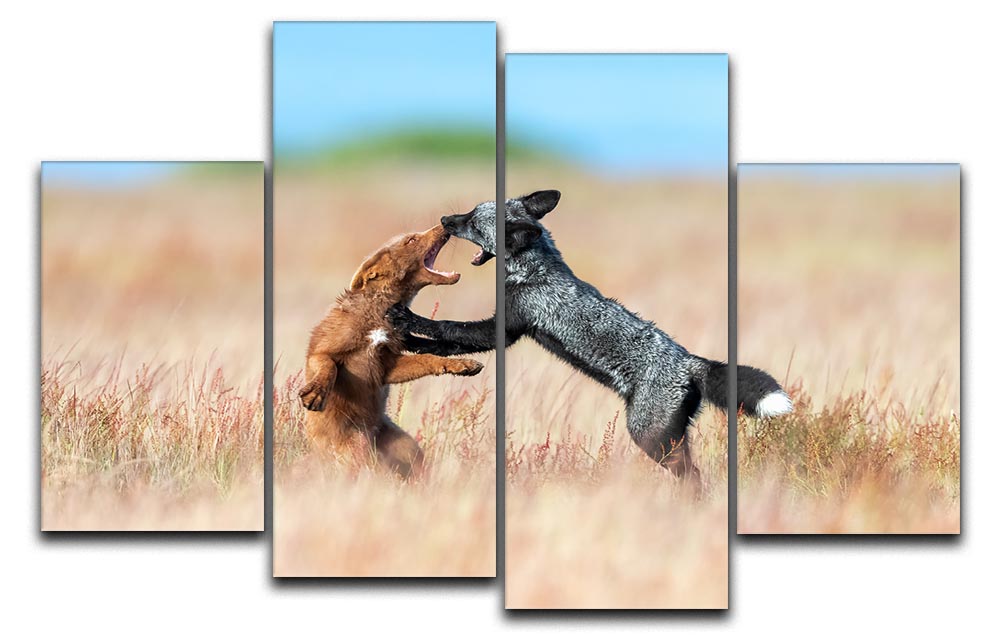 Two Foxes Wrestling 4 Split Panel Canvas - Canvas Art Rocks - 1