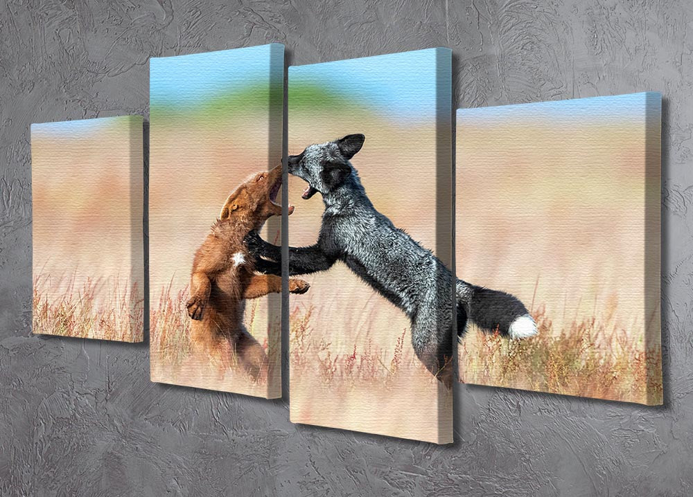 Two Foxes Wrestling 4 Split Panel Canvas - Canvas Art Rocks - 2