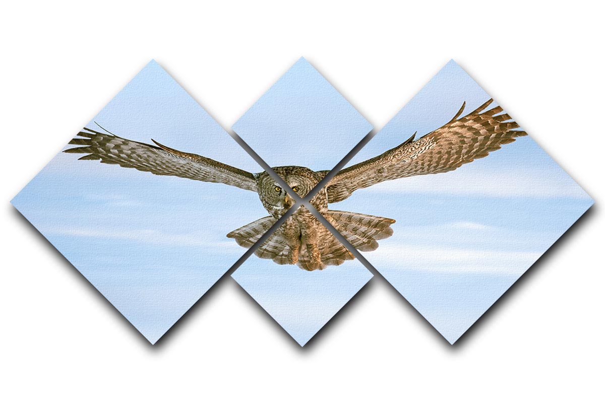 An Owl Flying 4 Square Multi Panel Canvas - Canvas Art Rocks - 1