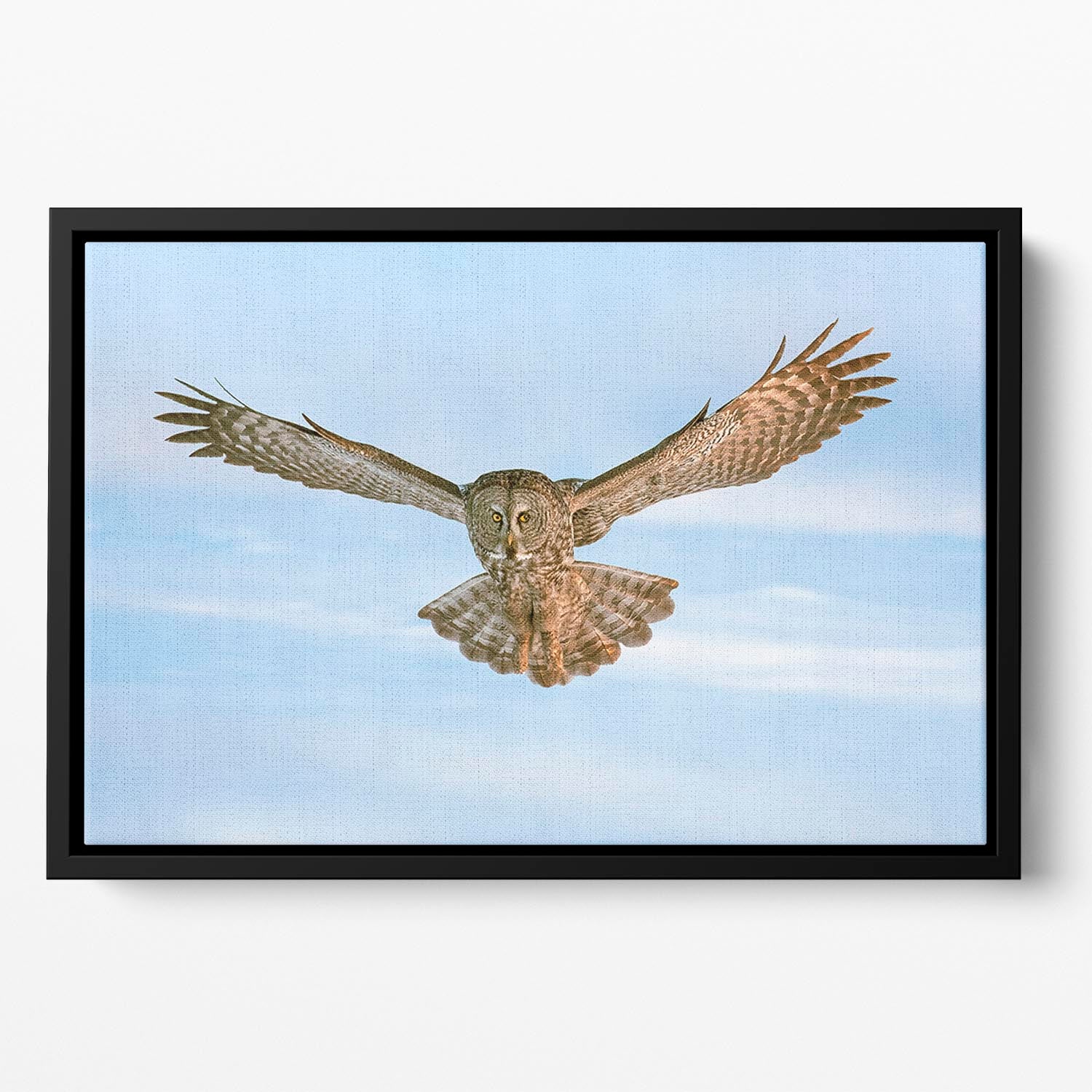 An Owl Flying Floating Framed Canvas - Canvas Art Rocks - 2