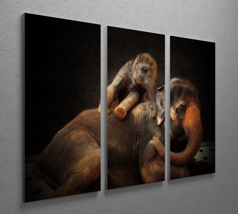 Mother And Baby Elephants 3 Split Panel Canvas Print - Canvas Art Rocks - 2