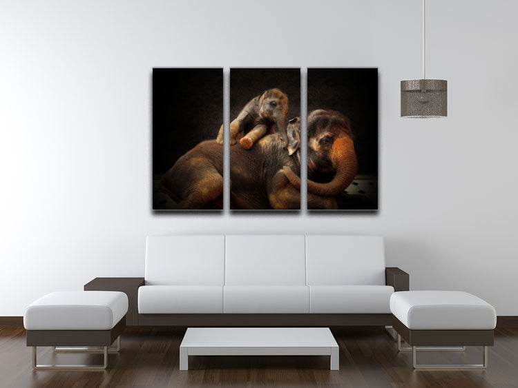 Mother And Baby Elephants 3 Split Panel Canvas Print - Canvas Art Rocks - 3