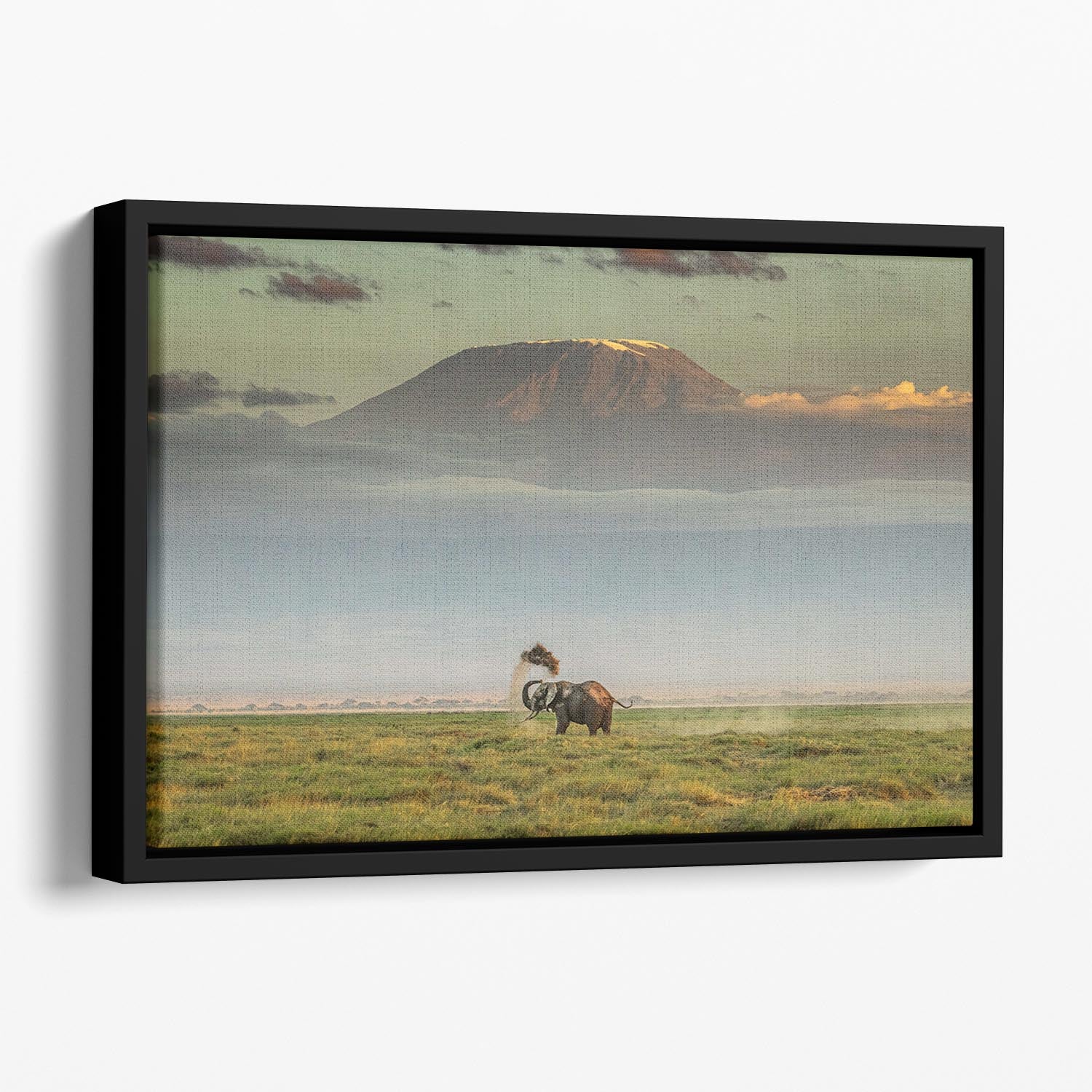 An Elephant Playing In The Dirt Floating Framed Canvas - Canvas Art Rocks - 1