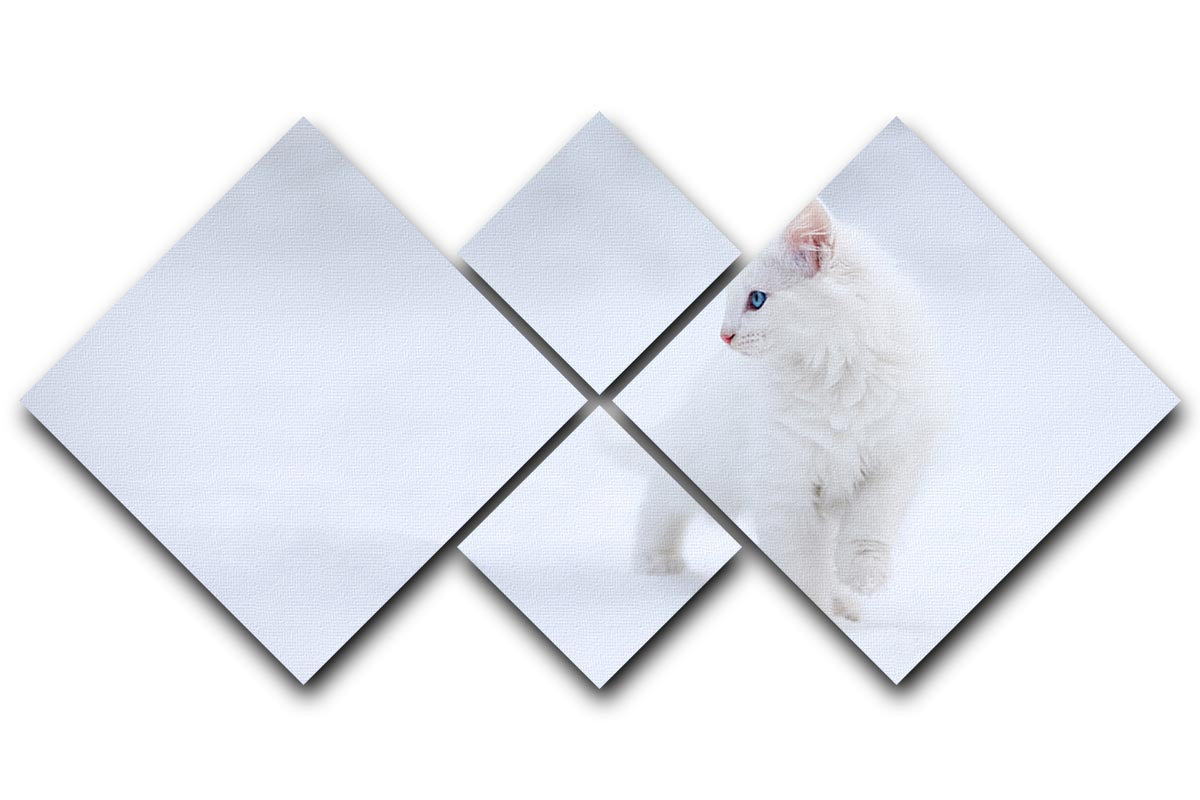 Kitten White as Snow 4 Square Multi Panel Canvas - Canvas Art Rocks - 1