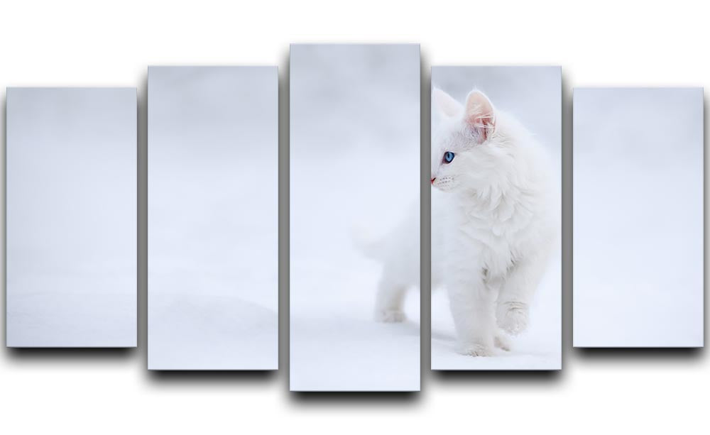 Kitten White as Snow 5 Split Panel Canvas - Canvas Art Rocks - 1