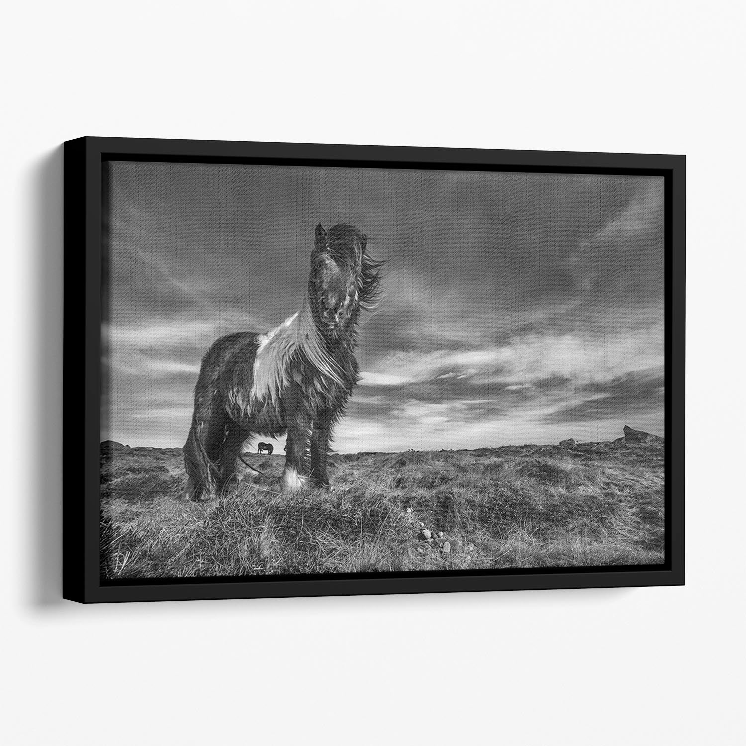 Horse Standing Floating Framed Canvas - Canvas Art Rocks - 1