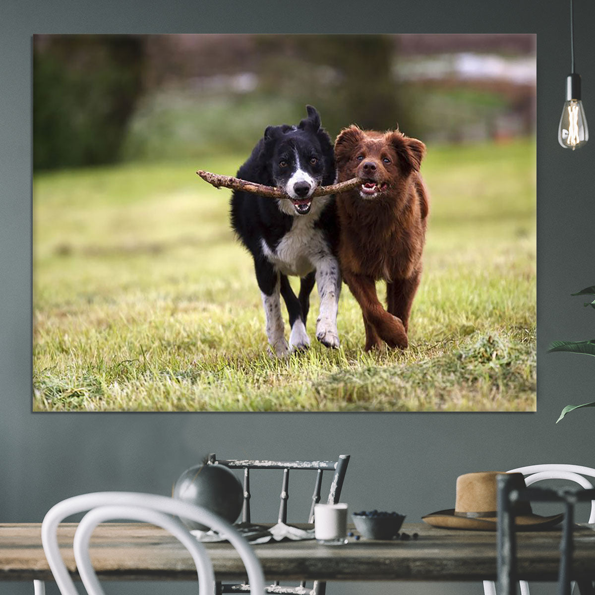 2 border collie dogs fetching a stick in open field Canvas Print or Poster - Canvas Art Rocks - 3