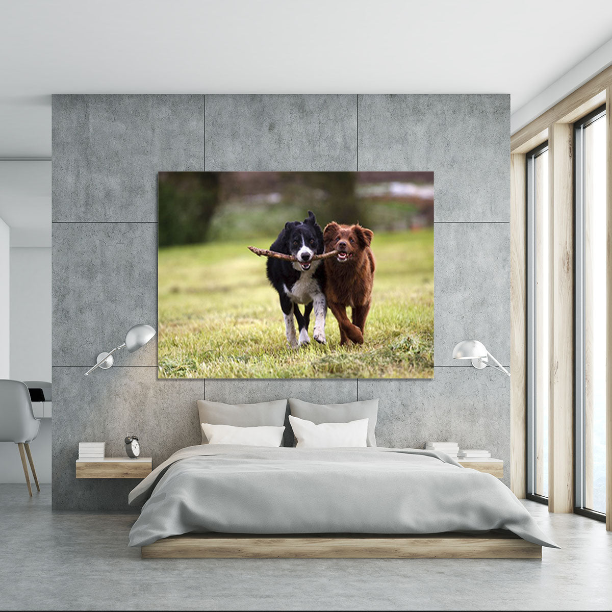 2 border collie dogs fetching a stick in open field Canvas Print or Poster - Canvas Art Rocks - 5