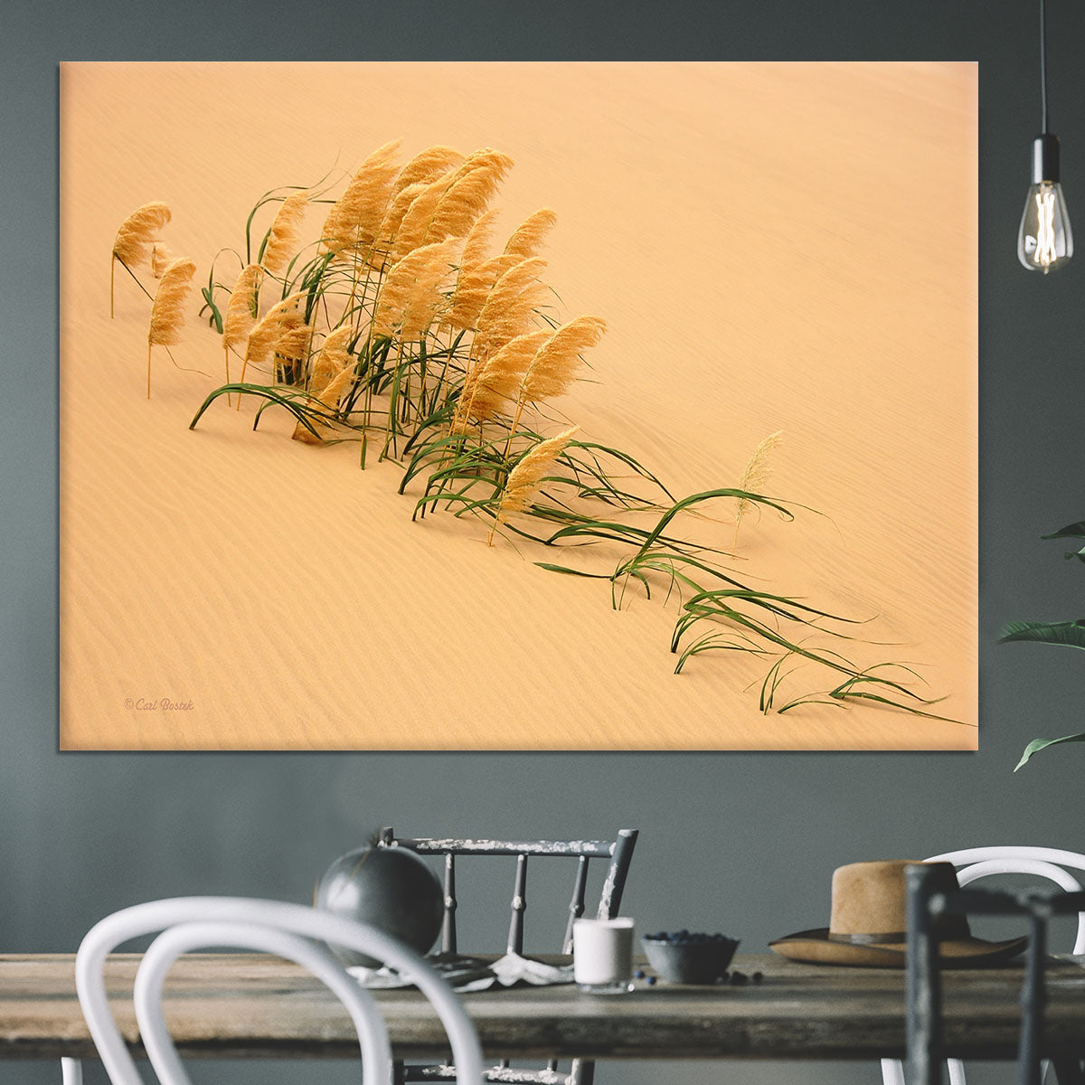 Pampas Grass In Sand Dune Canvas Print or Poster - Canvas Art Rocks - 3