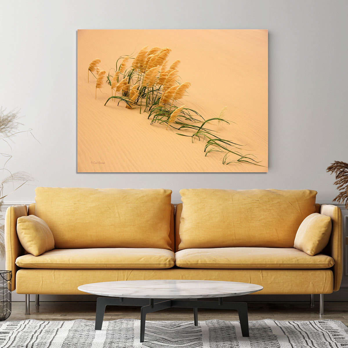 Pampas Grass In Sand Dune Canvas Print or Poster - Canvas Art Rocks - 4