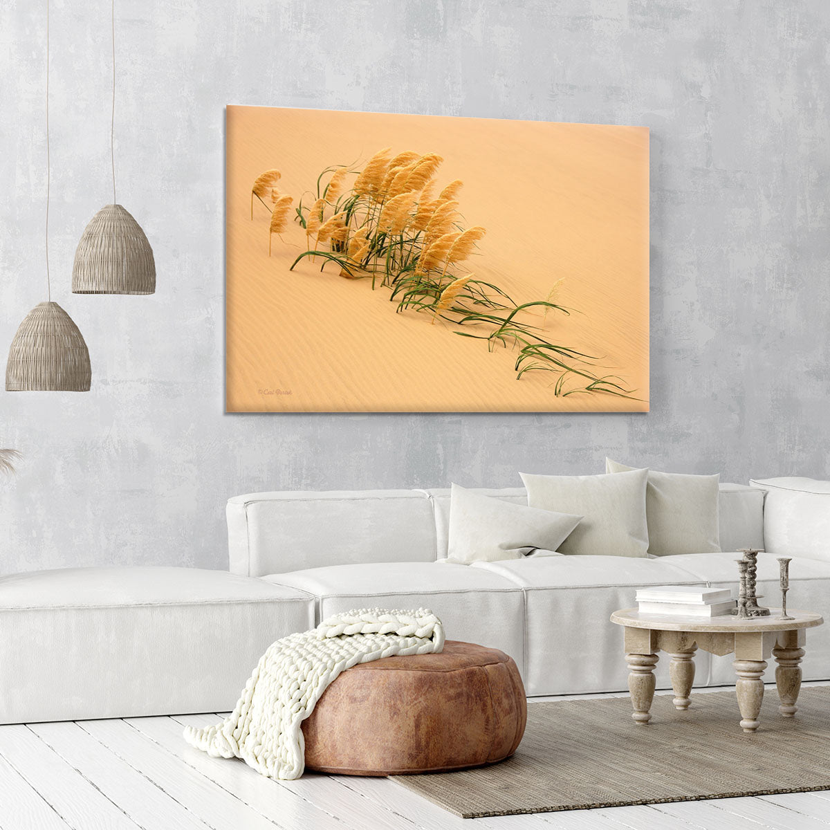 Pampas Grass In Sand Dune Canvas Print or Poster - Canvas Art Rocks - 6