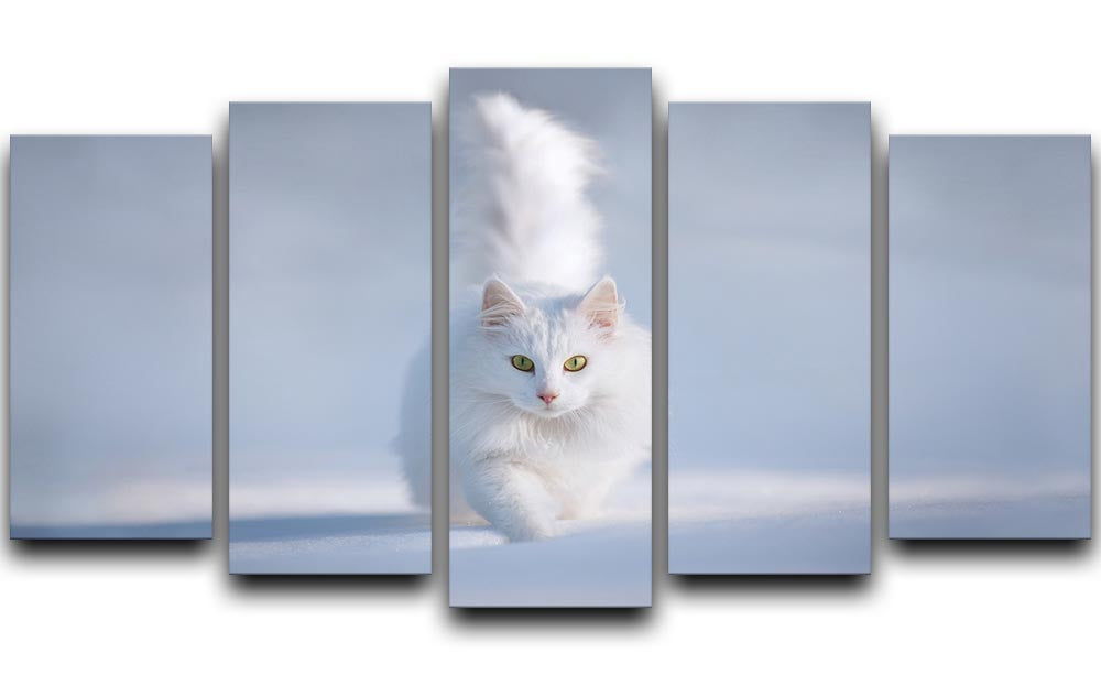 White Kitten Running In Snow 5 Split Panel Canvas - Canvas Art Rocks - 1