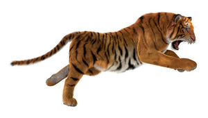 3D digital render of a hunting big cat Wall Mural Wallpaper - Canvas Art Rocks - 1