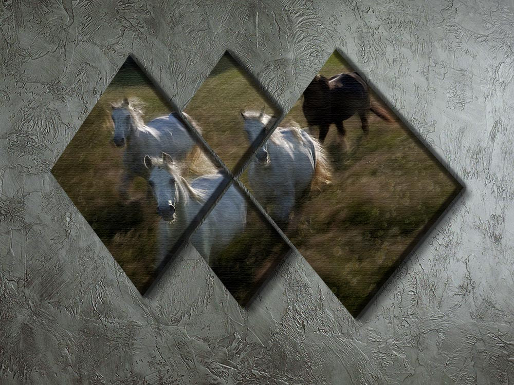 Horses Gallop in 4 Square Multi Panel Canvas - Canvas Art Rocks - 2