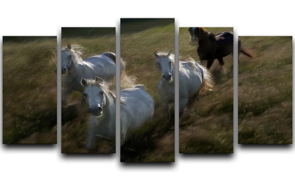 Horses Gallop in 5 Split Panel Canvas - Canvas Art Rocks - 1