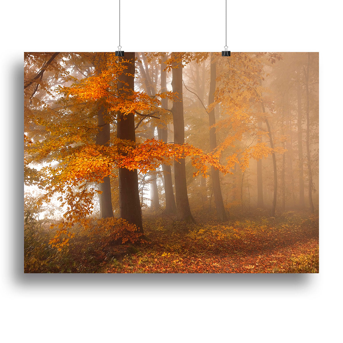 Edge Of The Woods Canvas Print or Poster - Canvas Art Rocks - 2