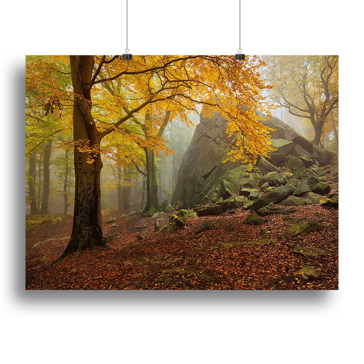 Autumn Forest Canvas Print or Poster - Canvas Art Rocks - 2