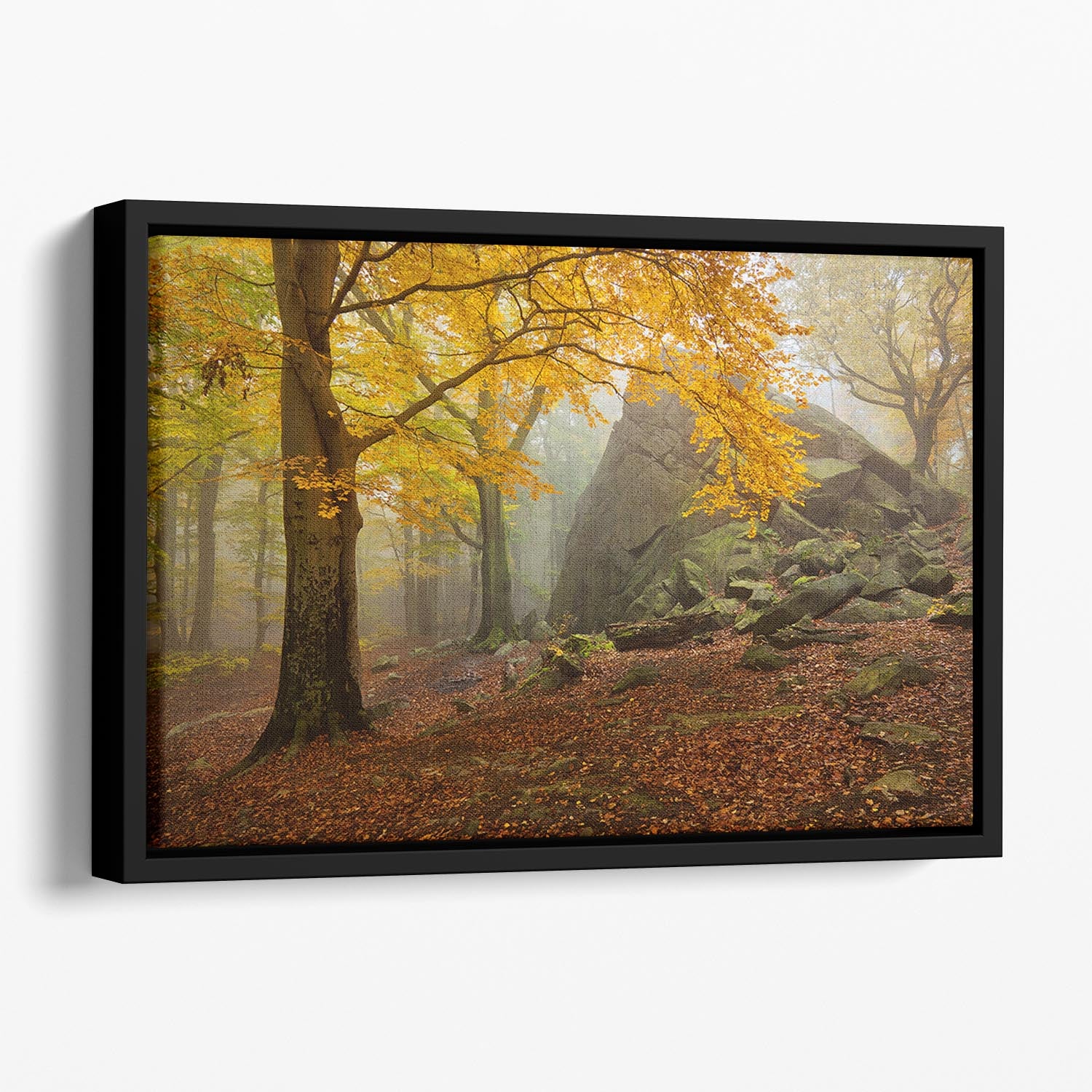 Autumn Forest Floating Framed Canvas - Canvas Art Rocks - 1