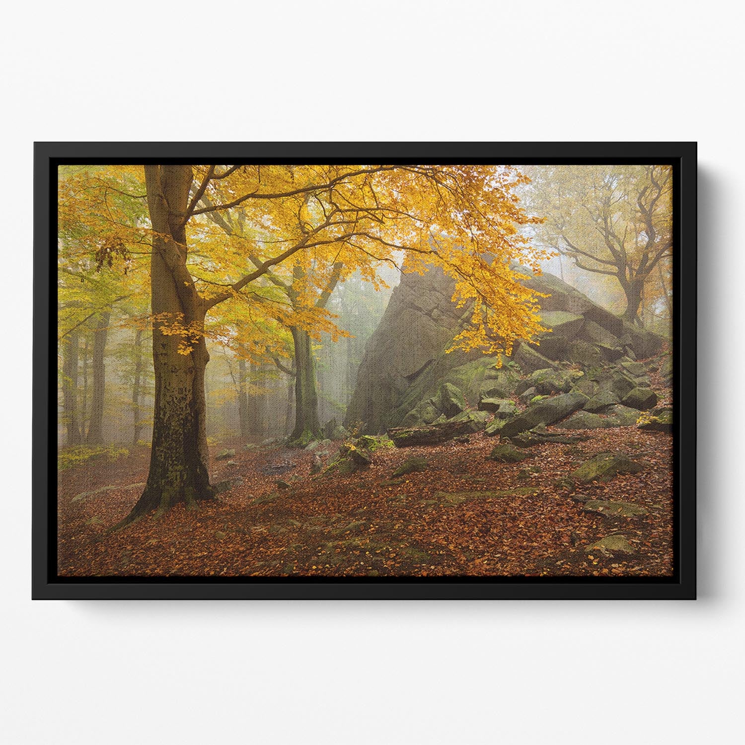 Autumn Forest Floating Framed Canvas - Canvas Art Rocks - 2