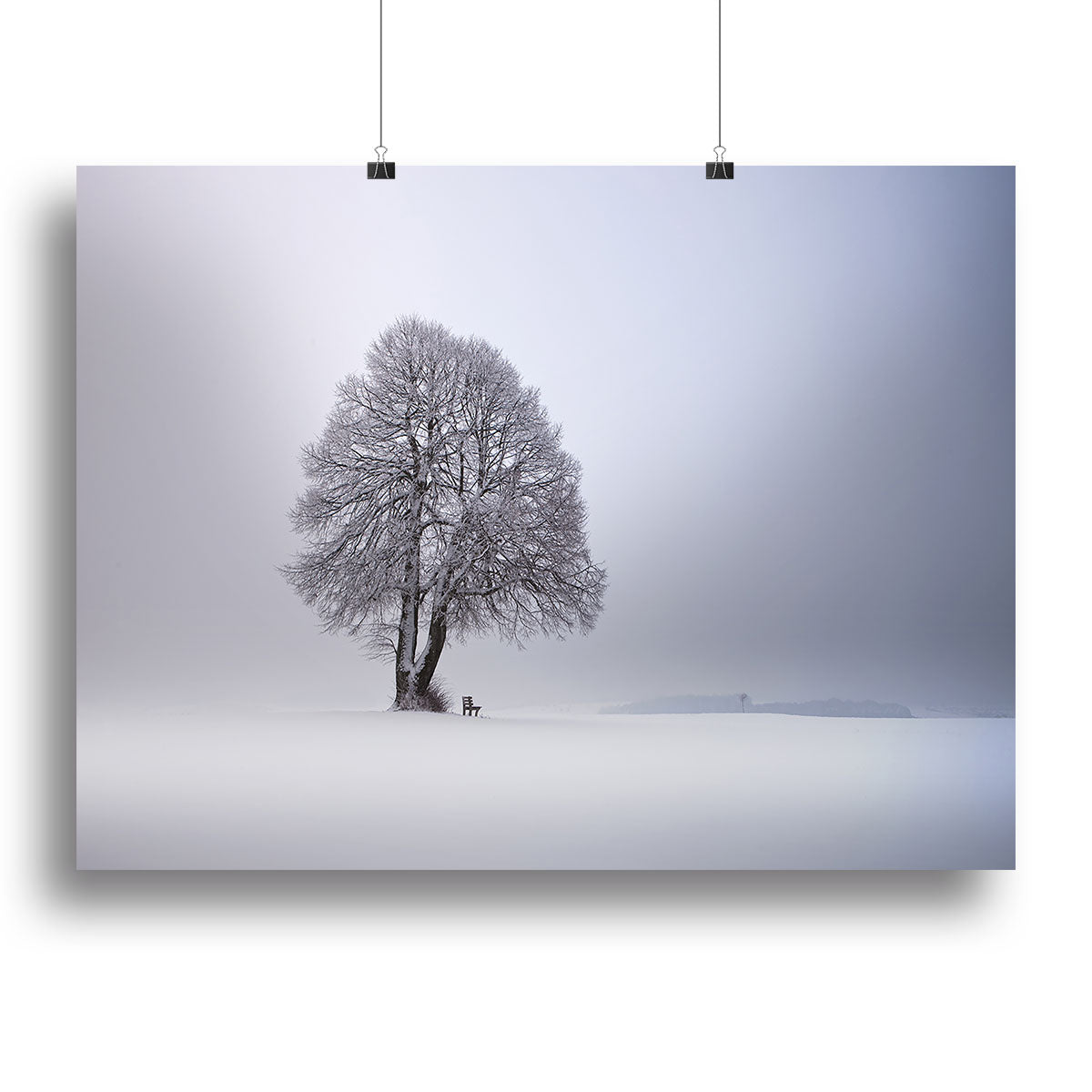 Winter Light Canvas Print or Poster - Canvas Art Rocks - 2