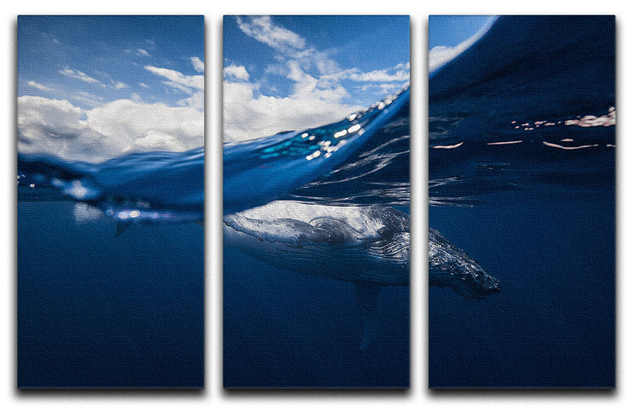 Humpback Whale And The Sky 3 Split Panel Canvas Print - Canvas Art Rocks - 1