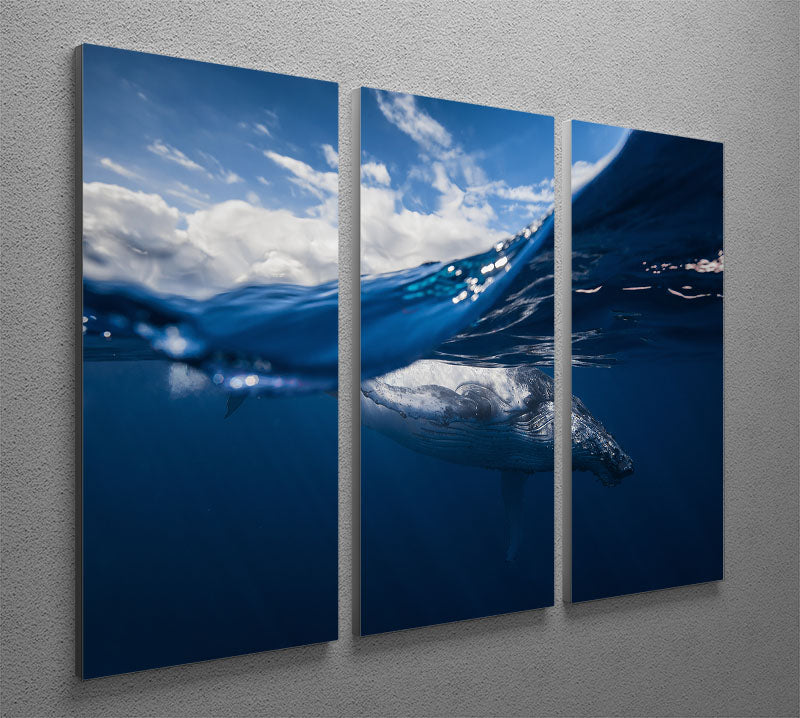 Humpback Whale And The Sky 3 Split Panel Canvas Print - Canvas Art Rocks - 2