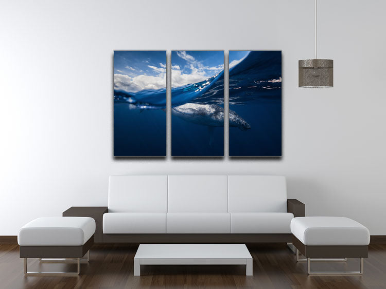 Humpback Whale And The Sky 3 Split Panel Canvas Print - Canvas Art Rocks - 3