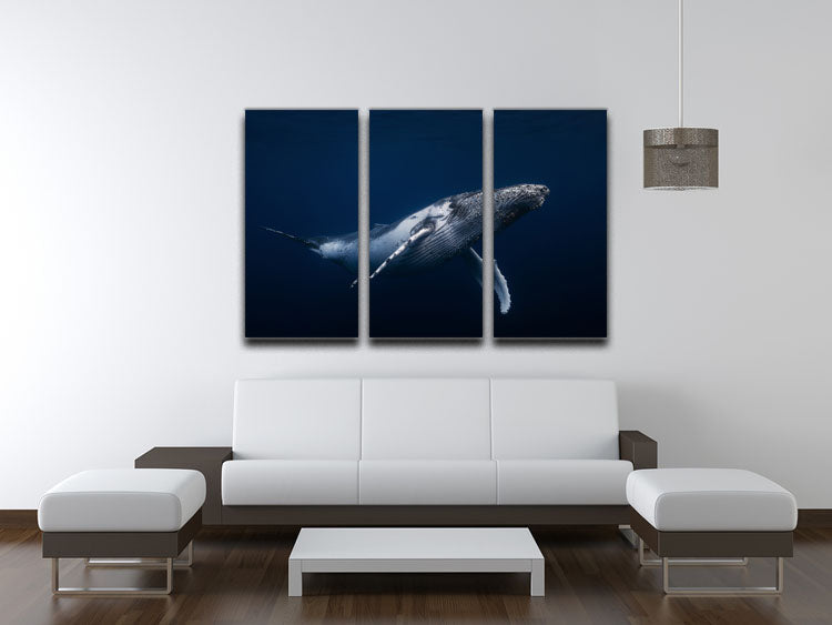 Humpback Whale In Blue 3 Split Panel Canvas Print - Canvas Art Rocks - 3