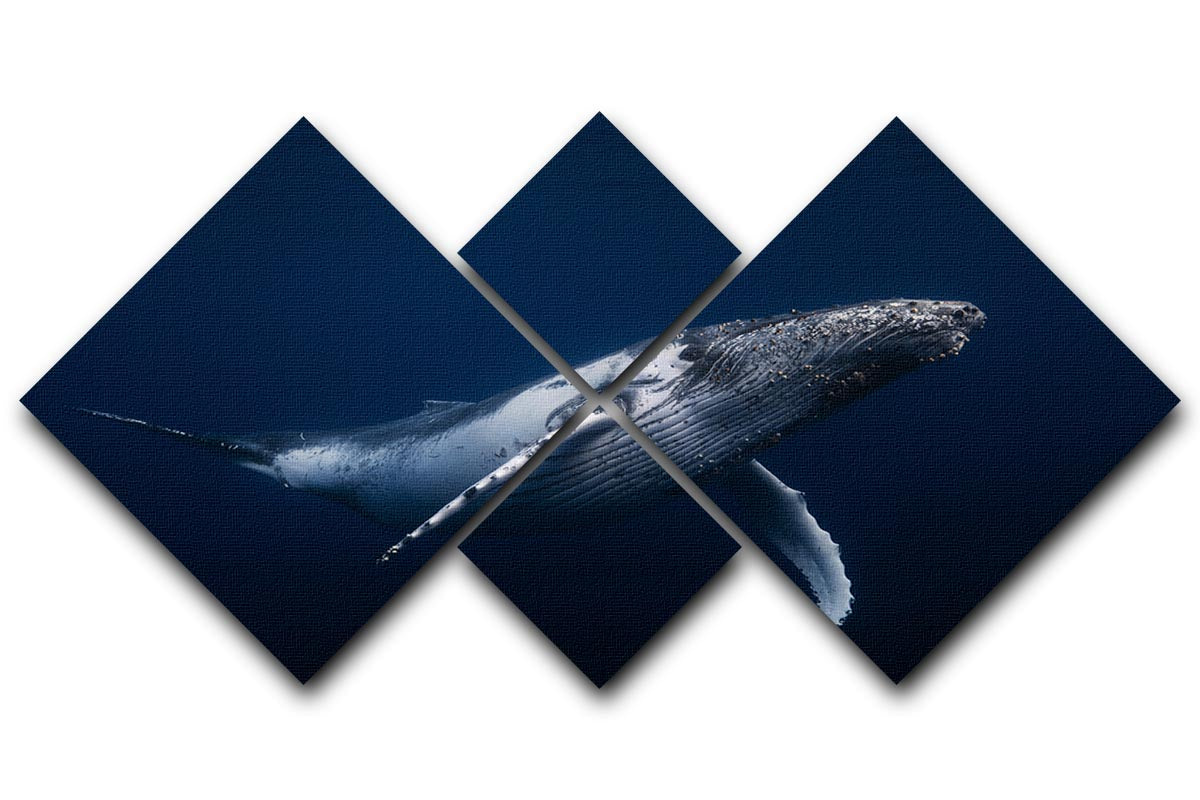 Humpback Whale In Blue 4 Square Multi Panel Canvas - Canvas Art Rocks - 1