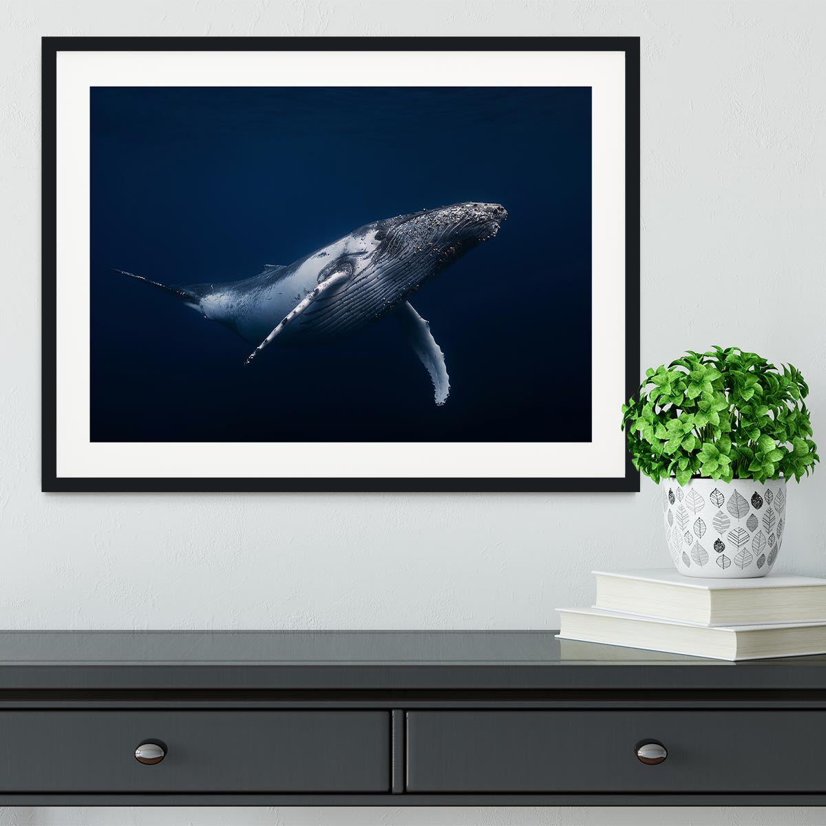 Humpback Whale In Blue Framed Print - Canvas Art Rocks - 1
