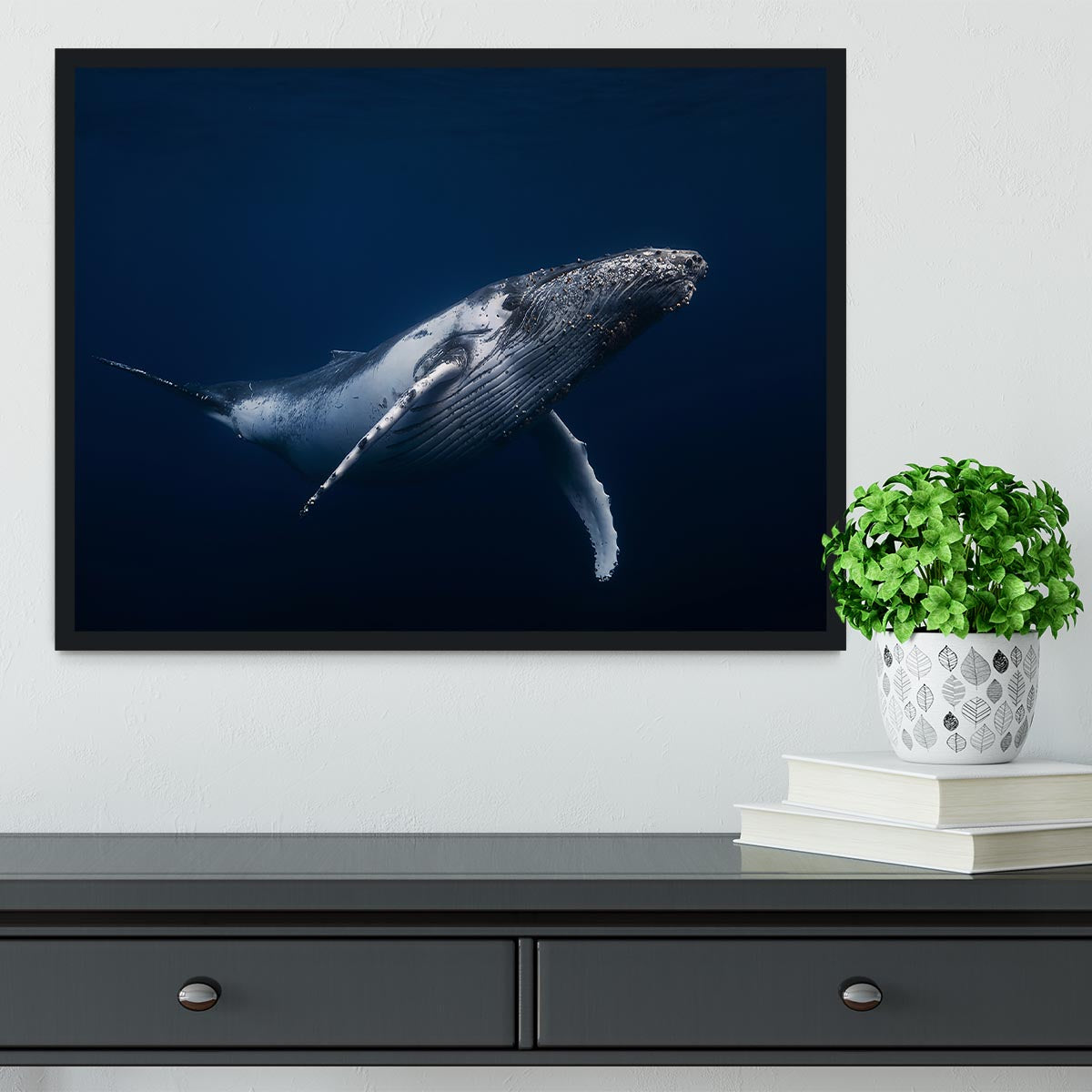 Humpback Whale In Blue Framed Print - Canvas Art Rocks - 2