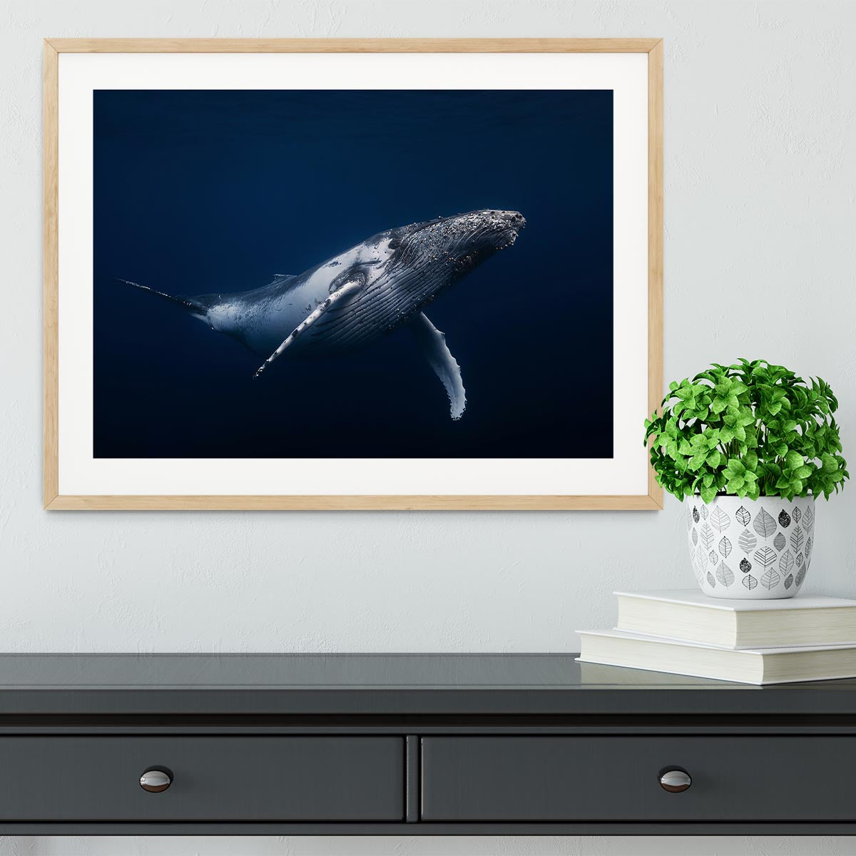 Humpback Whale In Blue Framed Print - Canvas Art Rocks - 3