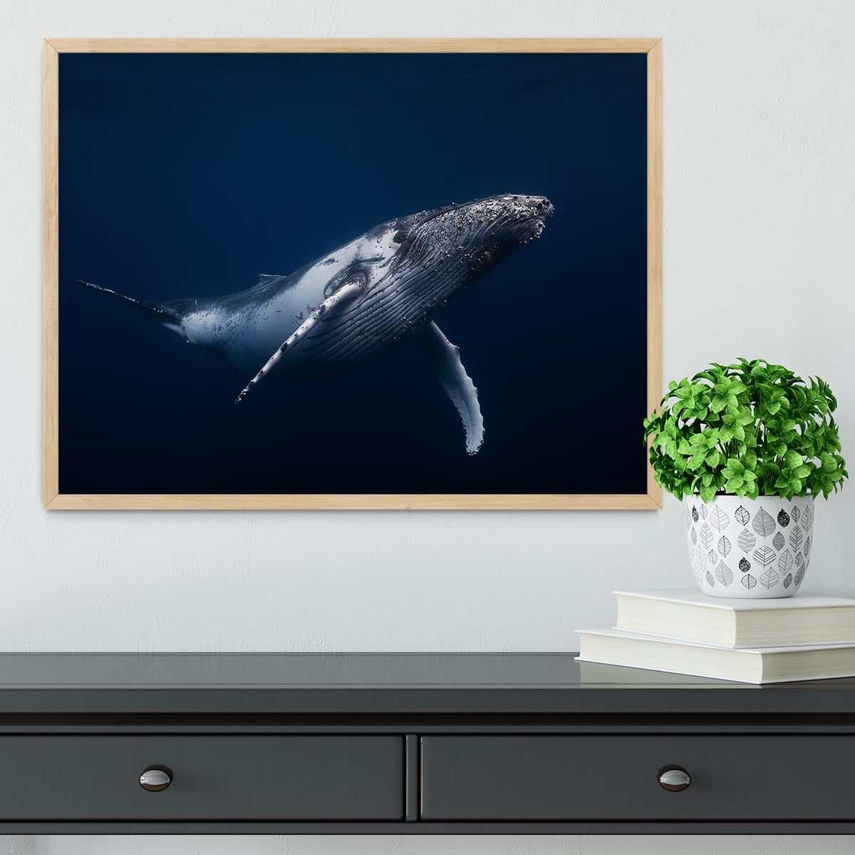 Humpback Whale In Blue Framed Print - Canvas Art Rocks - 4