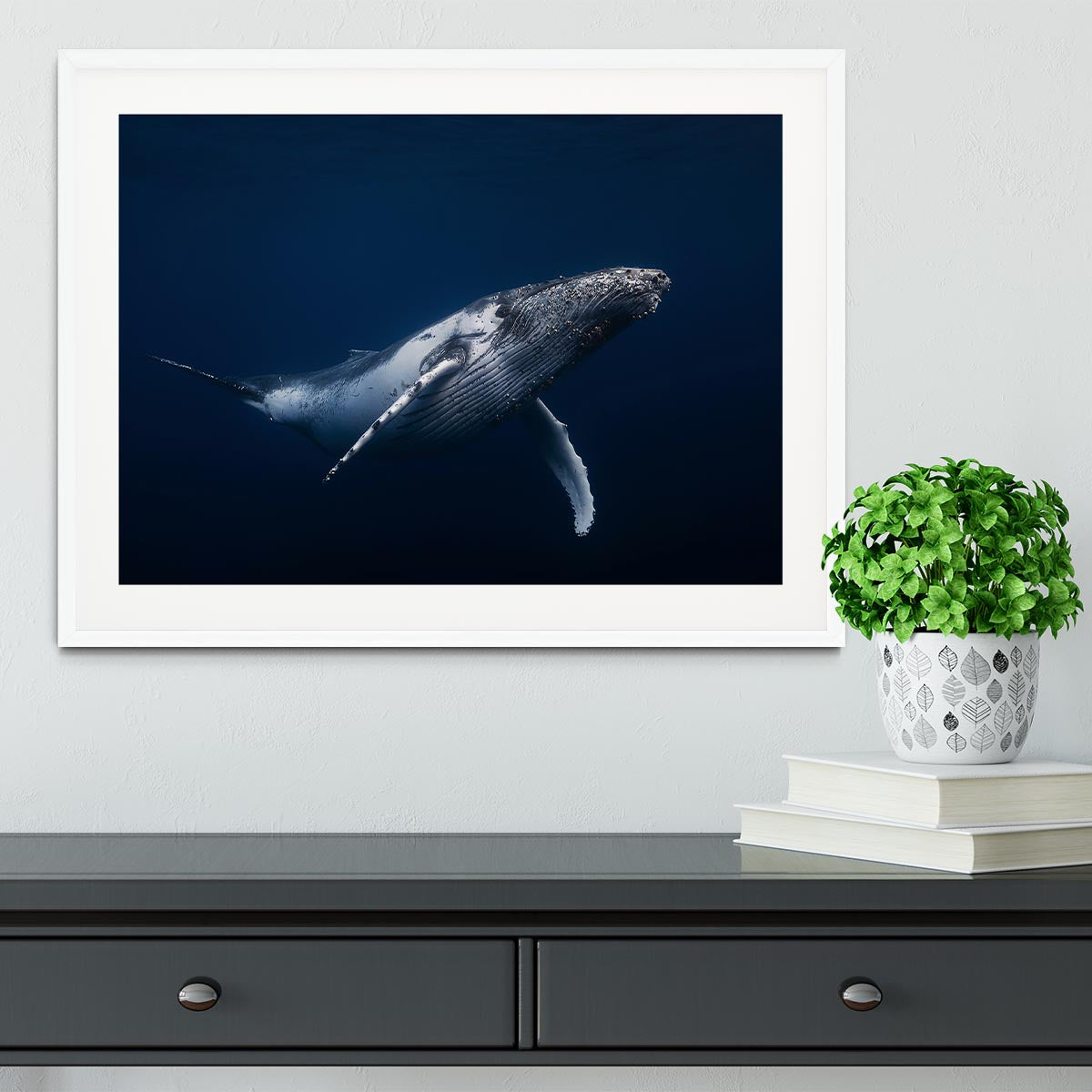 Humpback Whale In Blue Framed Print - Canvas Art Rocks - 5