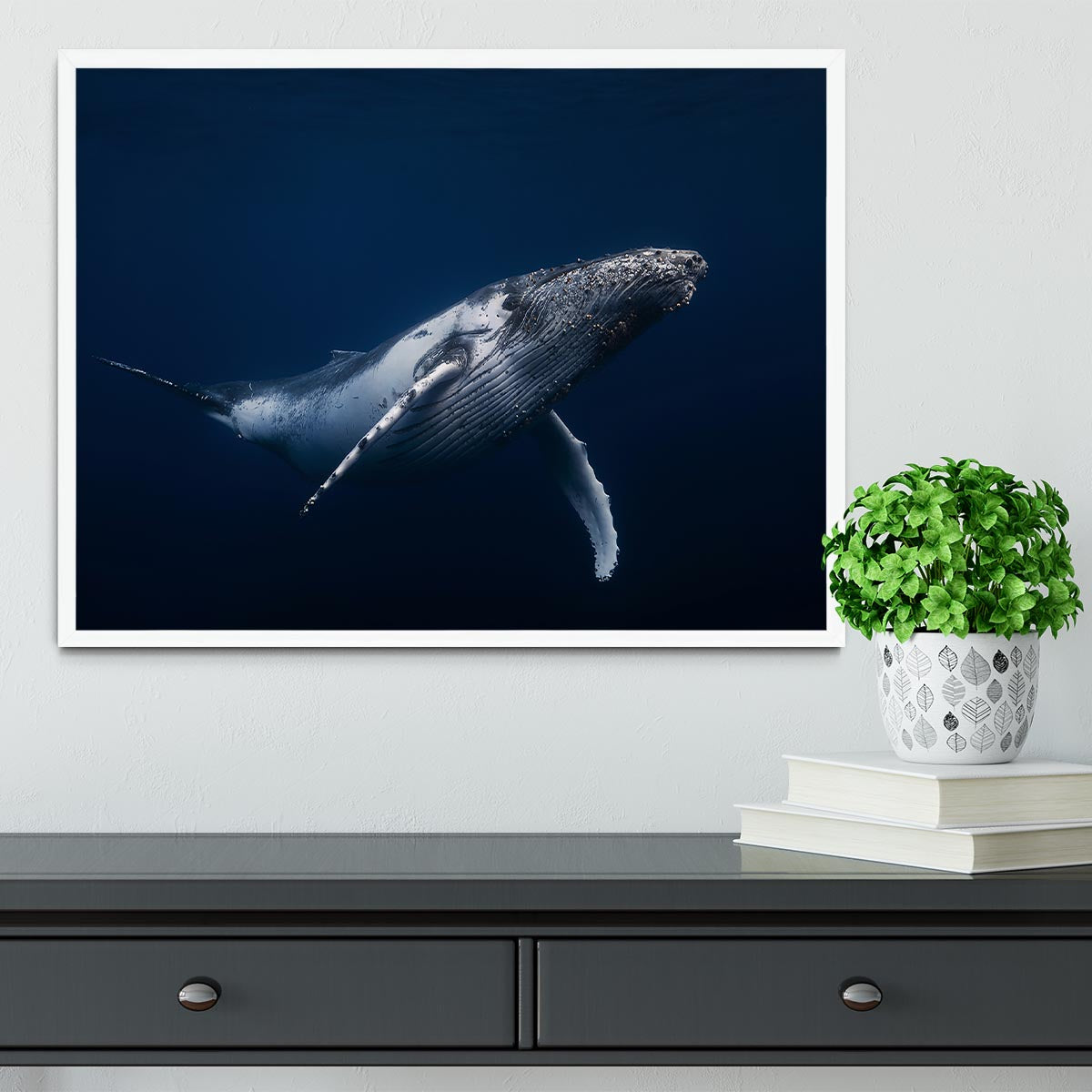Humpback Whale In Blue Framed Print - Canvas Art Rocks -6