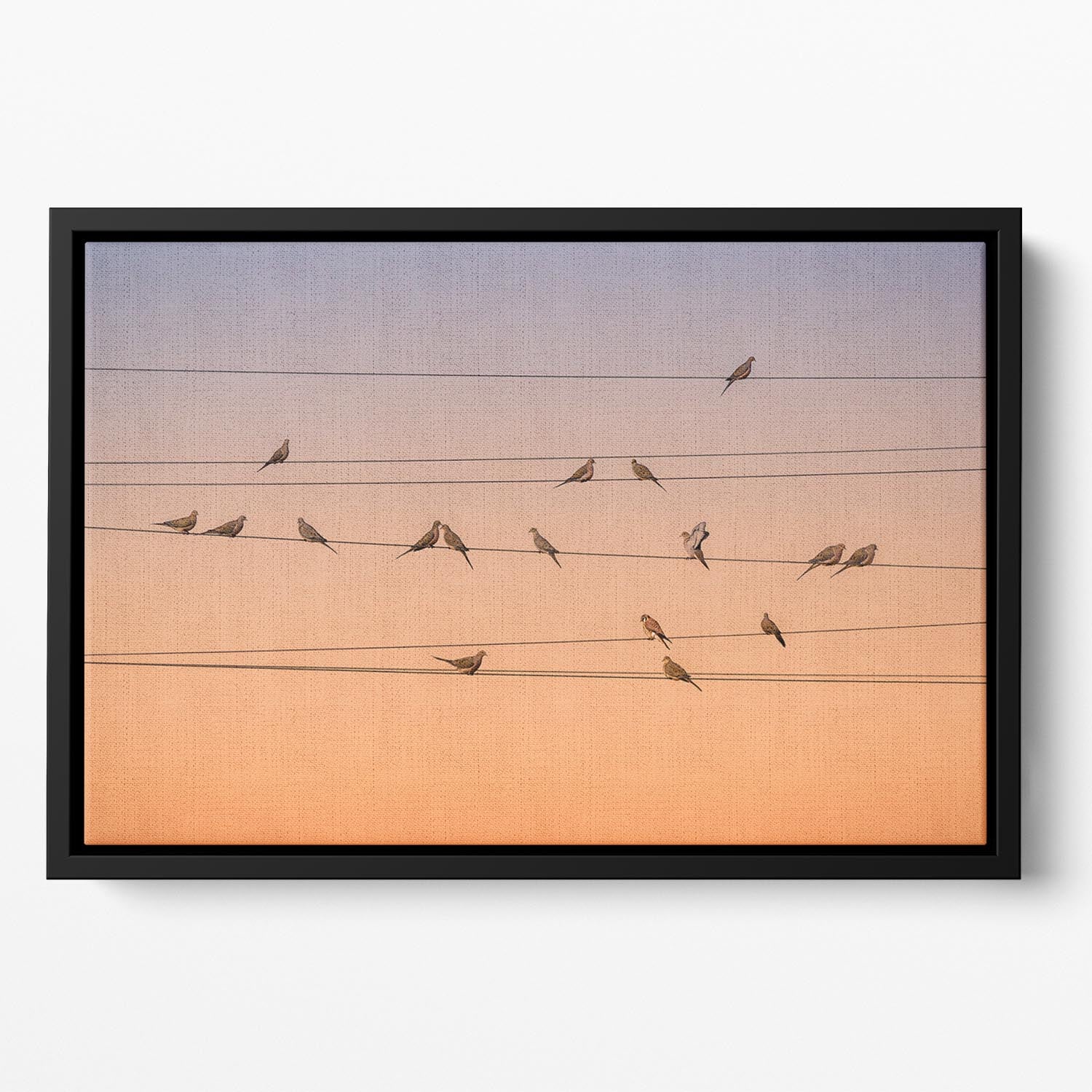 Sunrise Birds Floating Framed Canvas - Canvas Art Rocks - 2