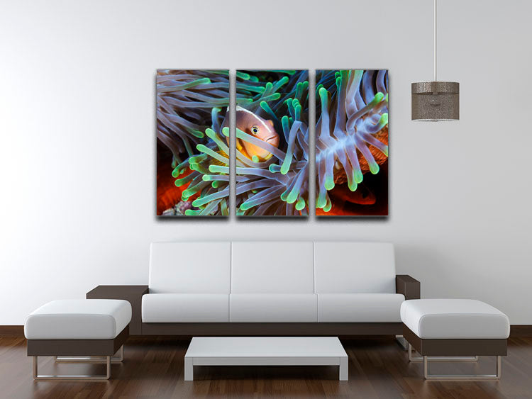 Clownfish 3 Split Panel Canvas Print - Canvas Art Rocks - 3