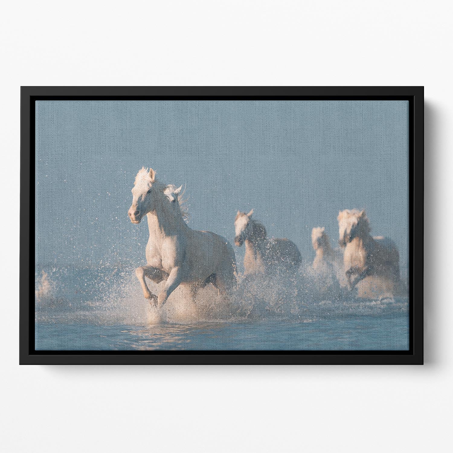 Wite Horses Running In Water Floating Framed Canvas - Canvas Art Rocks - 2